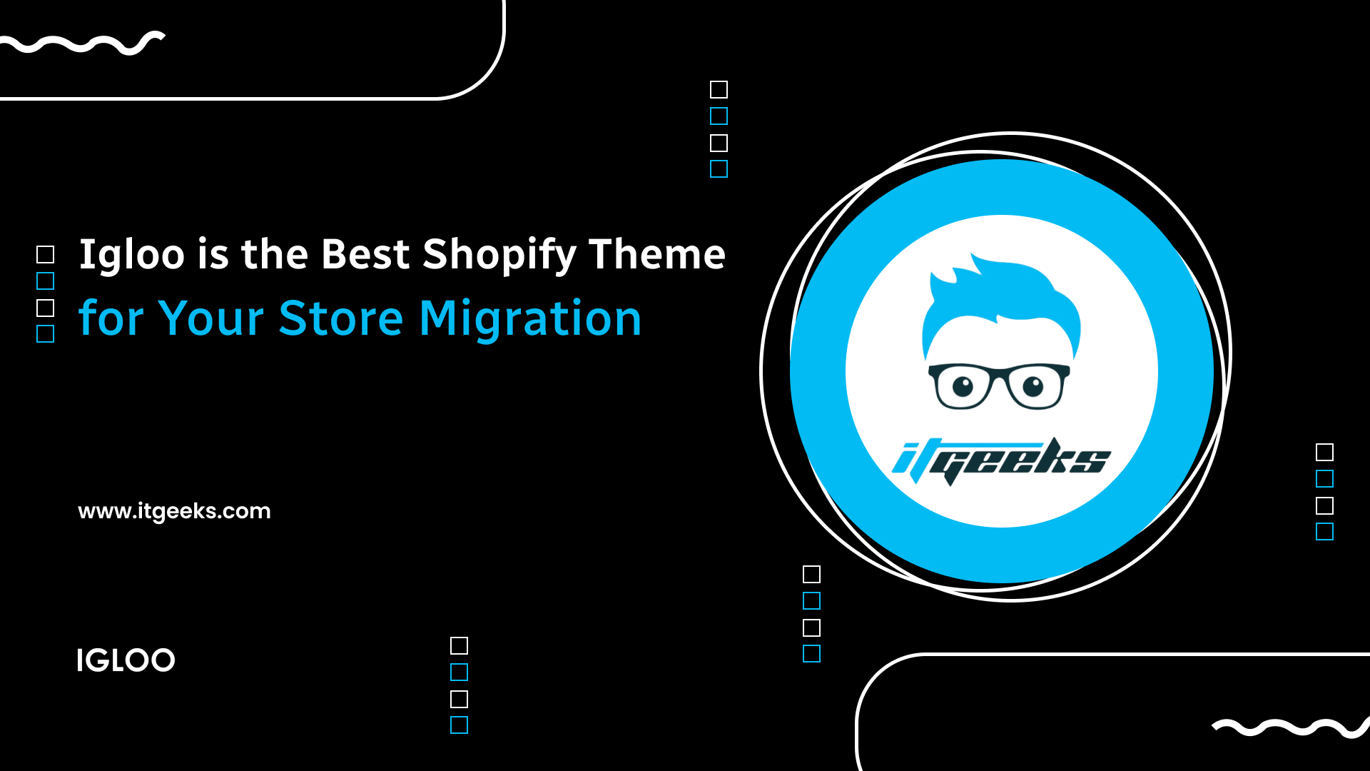 Igloo is the Best Shopify Theme for Your Store Migration