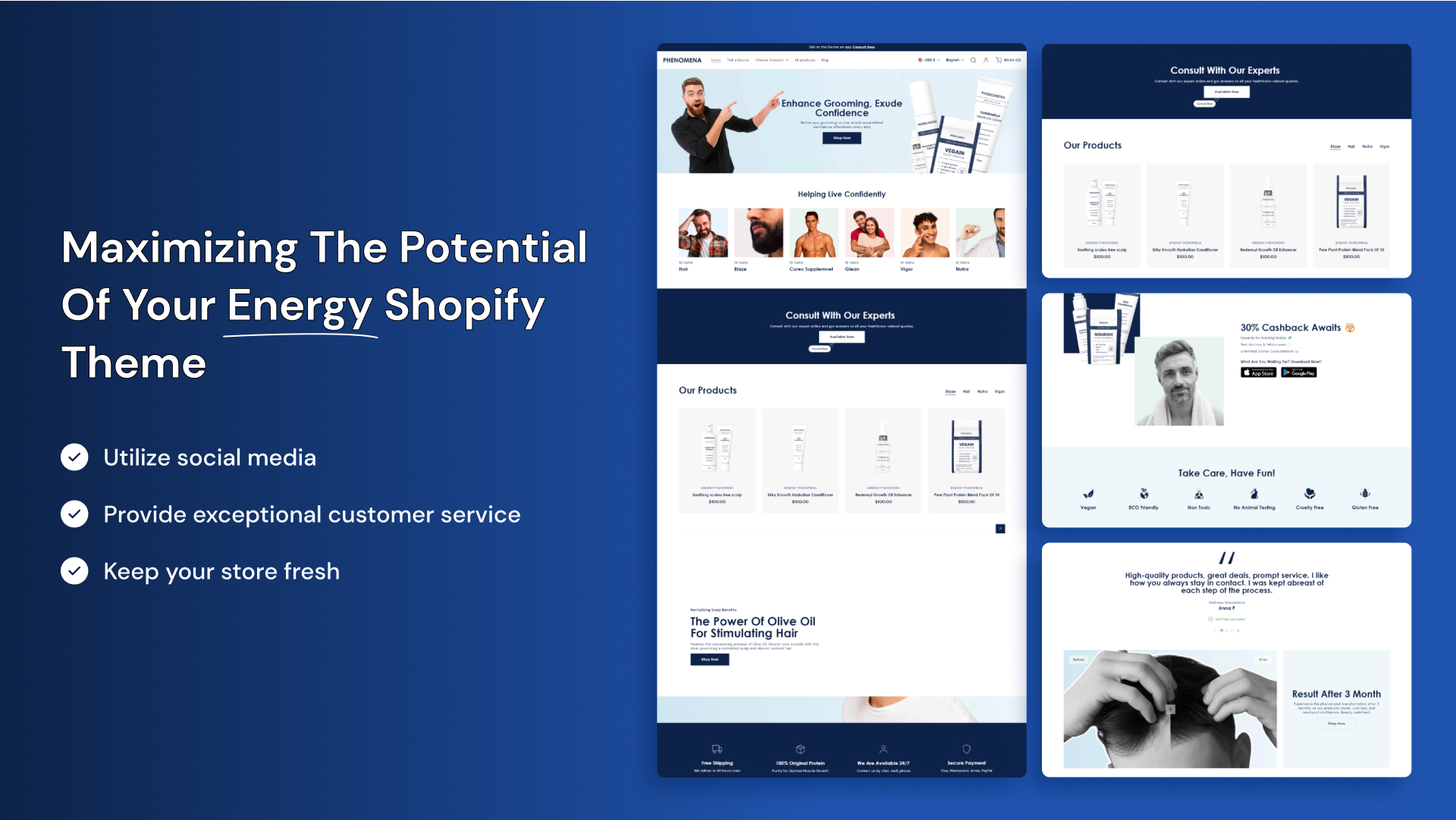 Maximizing the Potential of Your Energy Shopify Theme